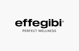 Effegibi logo